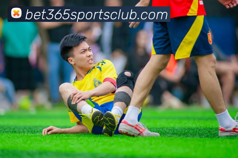 多媒体互动体验